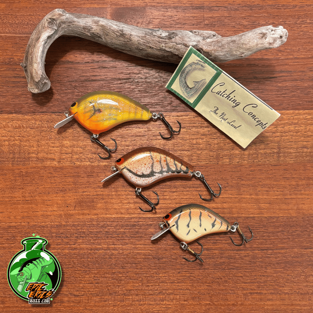 Catching Concepts Shallow Diver - Image 1