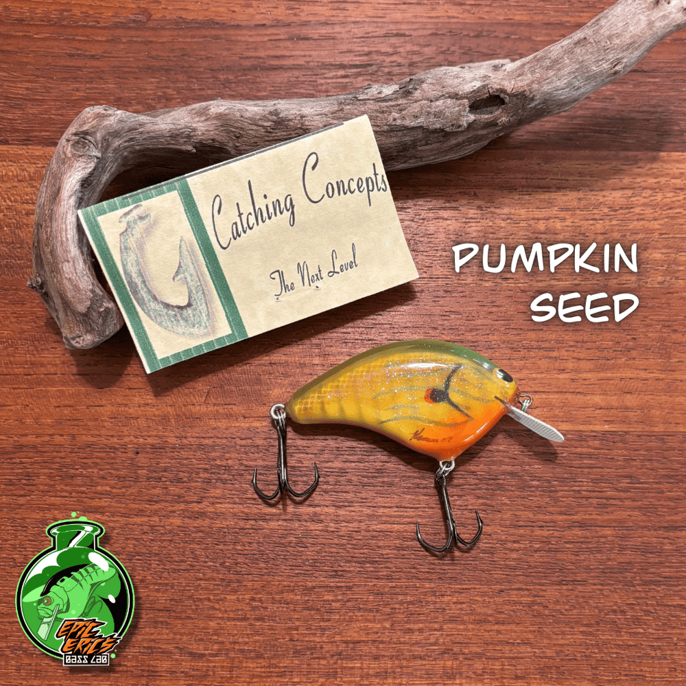 Catching Concepts Shallow Diver - Image 2