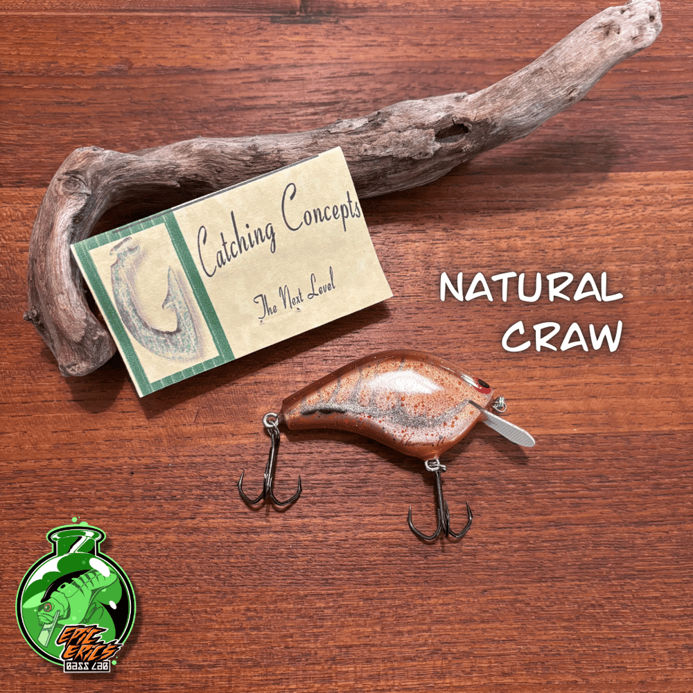 Catching Concepts Shallow Diver - Image 3