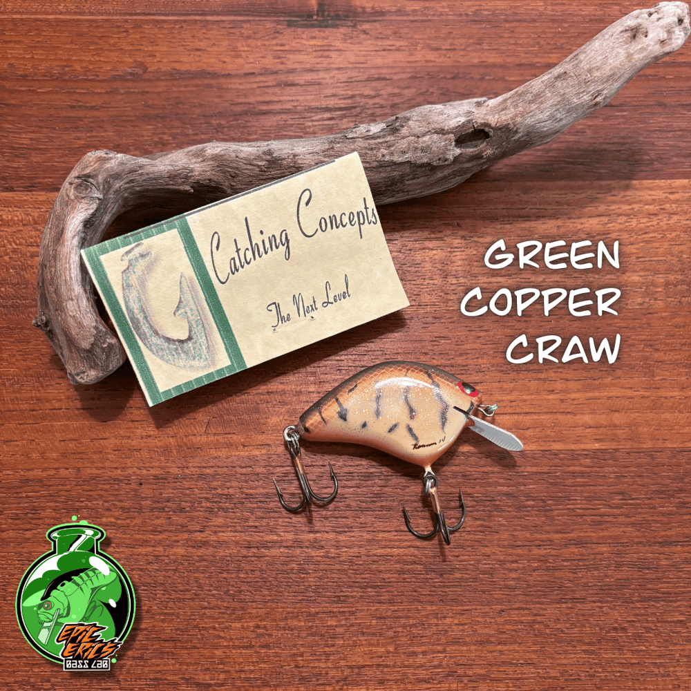 Catching Concepts Shallow Diver - Image 4