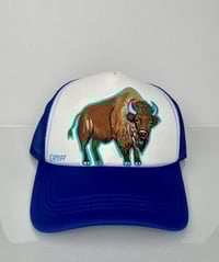 Buffalo