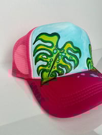 Image 2 of Monstera 