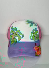 Image 1 of Monstera Hybiscus