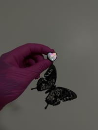 Image 2 of Pearly Heart Midnight Butterflies (Black)