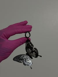 Image 2 of Midnight Butterflies (Black)