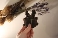 Image 2 of Stag beetle beanie fidget 🪲 