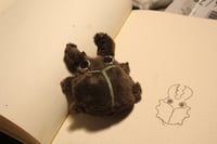 Image 4 of Stag beetle beanie fidget 🪲 