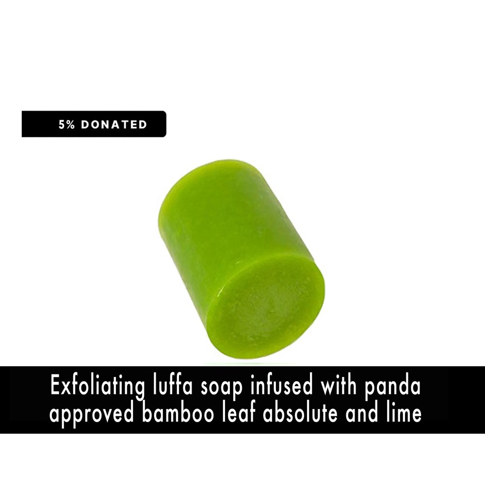 Image of BAMBOOZLED Body + Hand Soap