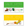 Preorder - Sailor Moon Store Original Set of 3 Ticket Holders