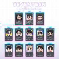 Seventeen Acrylic Charms