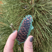 Image 2 of Sugar Pine Cone Sticker