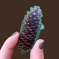 Image 1 of Sugar Pine Cone Sticker