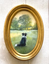 Border Collie in Vintage Gold Wooden Frame