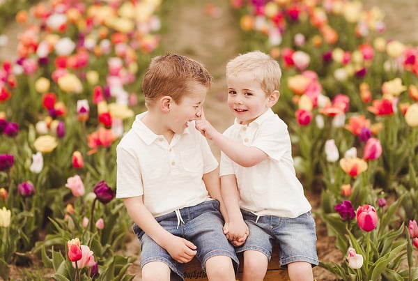 Image of TULIP MINIS - one night only