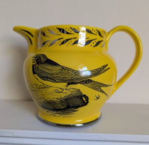 Spring jug - Christina Rossetti and Bewick's swallow