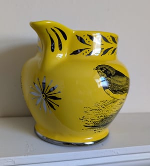 Spring jug - Christina Rossetti and Bewick's swallow