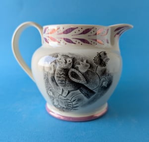 Bird and Owl jug - World of Wonders