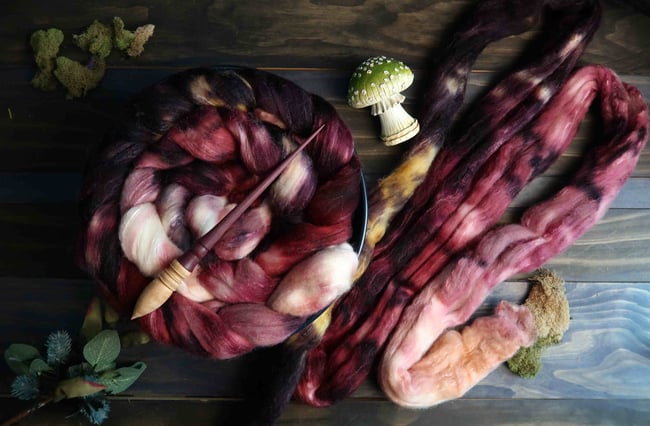 Stemonitis Splendens Combed Top - 85/15 Polwarth and Silk