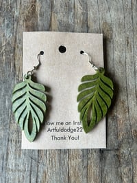 Image 1 of Monsterra Avocado Green