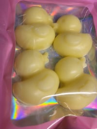 Image 1 of Duck Melties