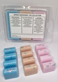 Image 1 of Trio of scents - see description below