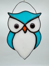 Precious little owl