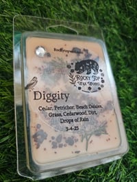 Image 11 of Diggity- A Rockytop Wax Works exclusive custom houseblend fragrance 