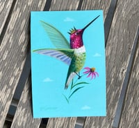 PRINT Anna's Hummingbird Coneflower