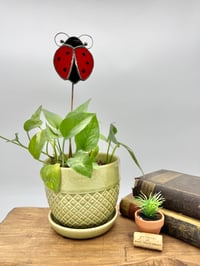 Ladybug Plant Stake