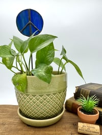 Blue Peace Plant Stake