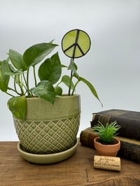 Green Peace Plant Stake