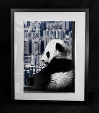 Image 2 of Framed Silver Leaf Pandas