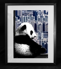 Image 1 of Framed Silver Leaf Pandas