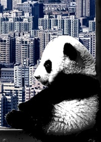 Image 4 of Framed Silver Leaf Pandas