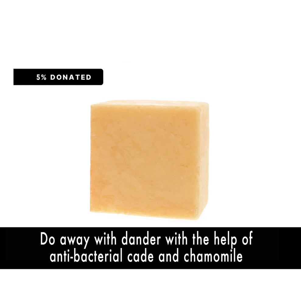 Image of IN THE CLEAR Solid Conditioner Bar