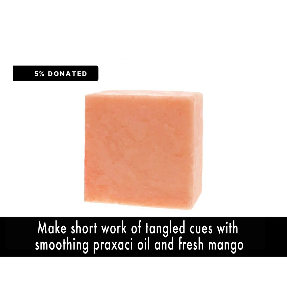 Image of TAME CHANGER Solid Conditioner Bar