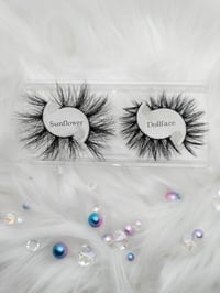 Sunflower & Dollface
