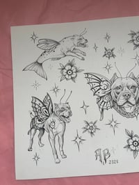 Image 4 of Magic breed