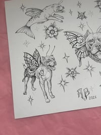 Image 2 of Magic breed