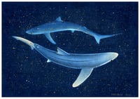 Image 1 of Midnight Blues Dancing Blue Sharks Fine Art Print