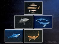 Image 2 of Midnight Blues Dancing Blue Sharks Fine Art Print