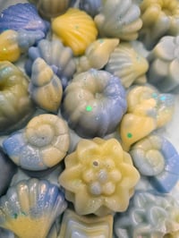 Image 3 of Beach Smores - an exclusive Rockytop Wax works custom houseblend fragrance 