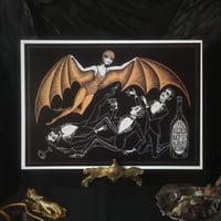 Image 1 of La Chauve-souris Doreé - A4 art print