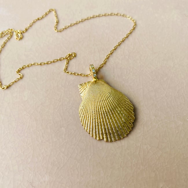  Seashell Necklace /