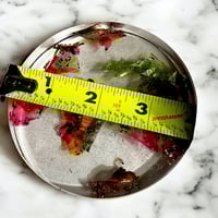 Image 15 of Spill The Color coaster