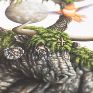 Image of Thomas Turner - Bullish