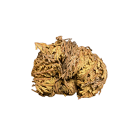 Rose of Jericho (Money, Success, Blessings)
