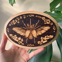 Image 1 of Beetle Wood Burn Wall Art