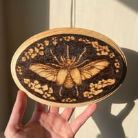 Image 3 of Beetle Wood Burn Wall Art