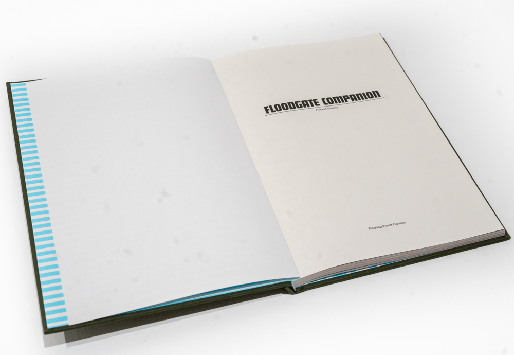 Image of Robert Beatty: FLOODGATE COMPANION